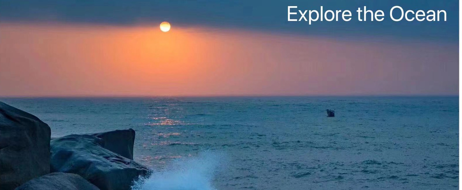 浏览